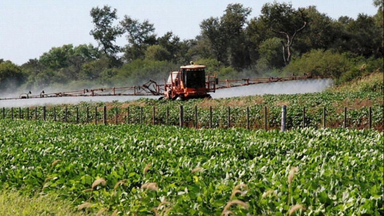 Peligro agrotóxicos: encuentran insecticidas en el agua potable de Claromecó y Tres Arroyos