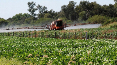 Peligro agrotóxicos: encuentran insecticidas en el agua potable de Claromecó y Tres Arroyos